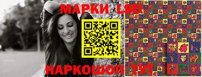 PSILOCYBIN Гатчина