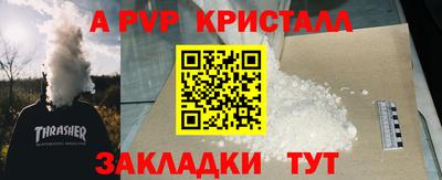 PSILOCYBIN Гатчина