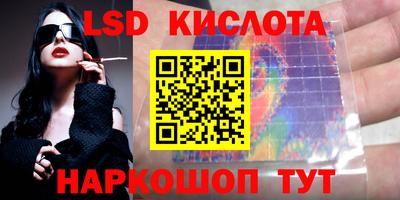 PSILOCYBIN Гатчина