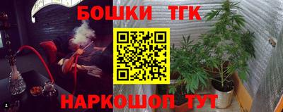 PSILOCYBIN Гатчина