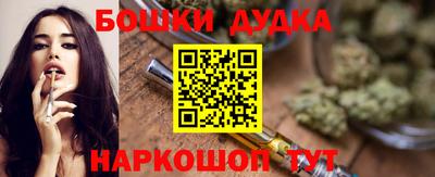 PSILOCYBIN Гатчина