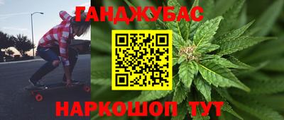 PSILOCYBIN Гатчина