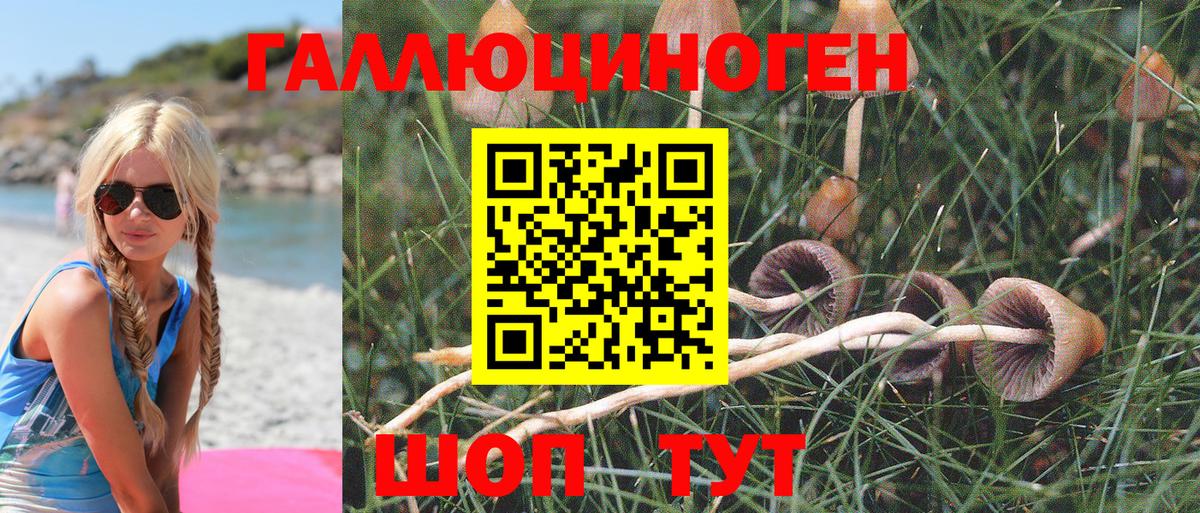 Галлюциногенные грибы Magic Shrooms  Вход с VPN  Новозыбков 