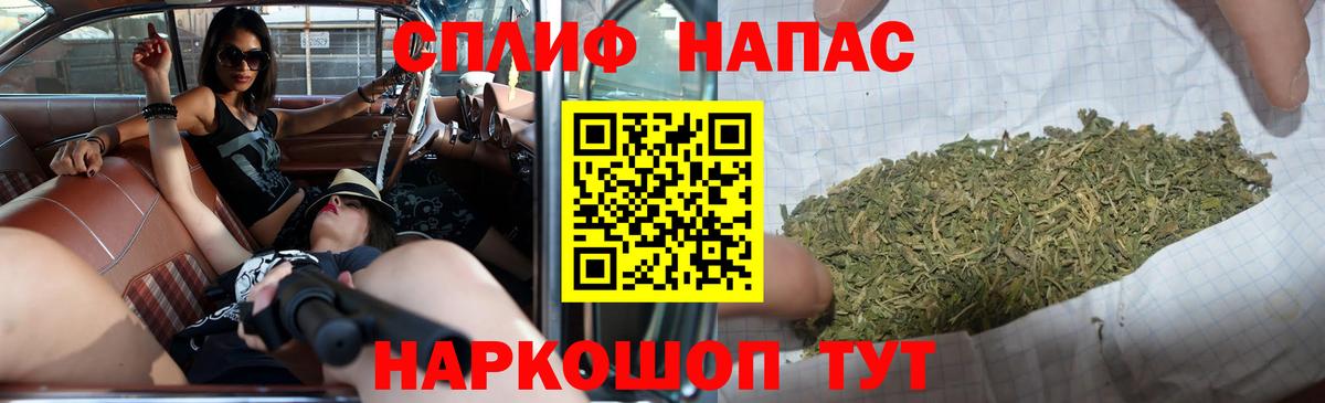 Марихуана гибрид Новозыбков